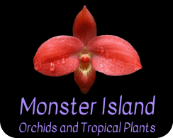 Here's an alt tag for the image: `Monster Island orchids and tropical plants`