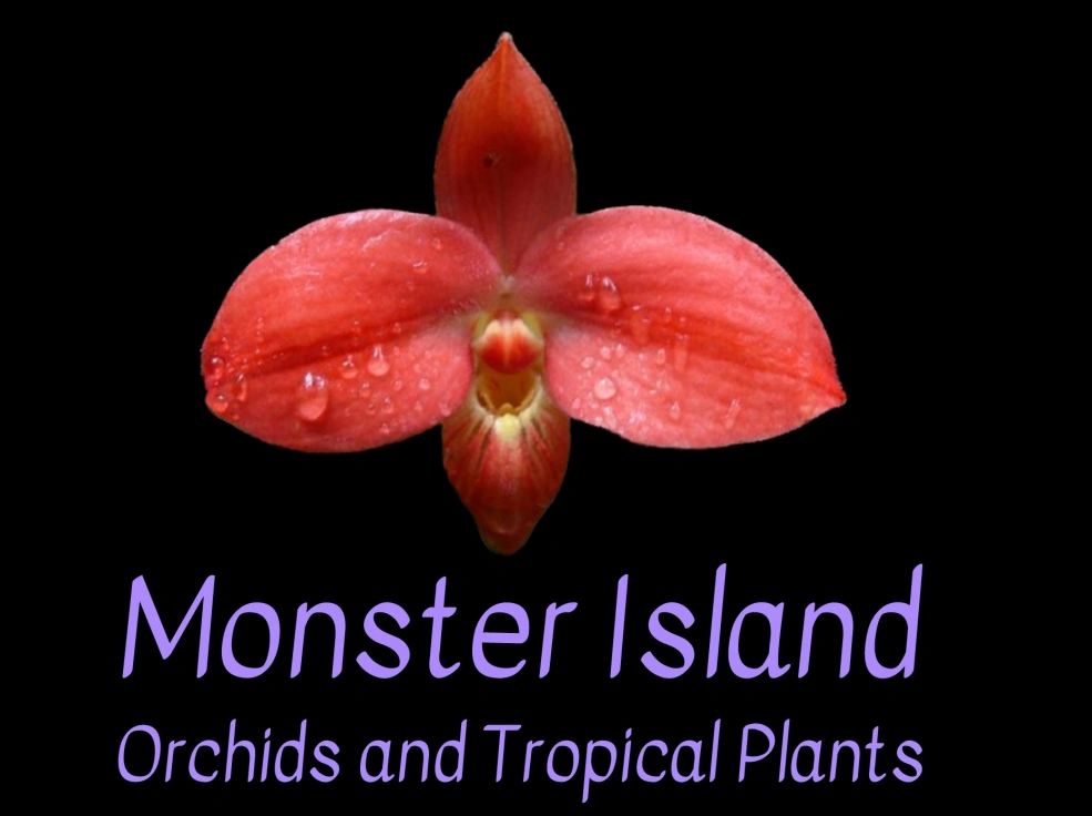 Red orchid, Monster Island plants.