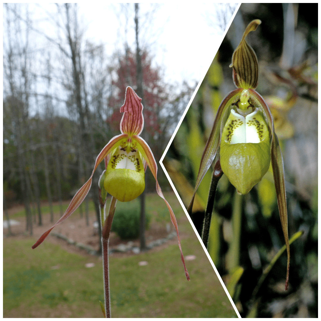 photo-collage.png-6 photo-collage.png-6